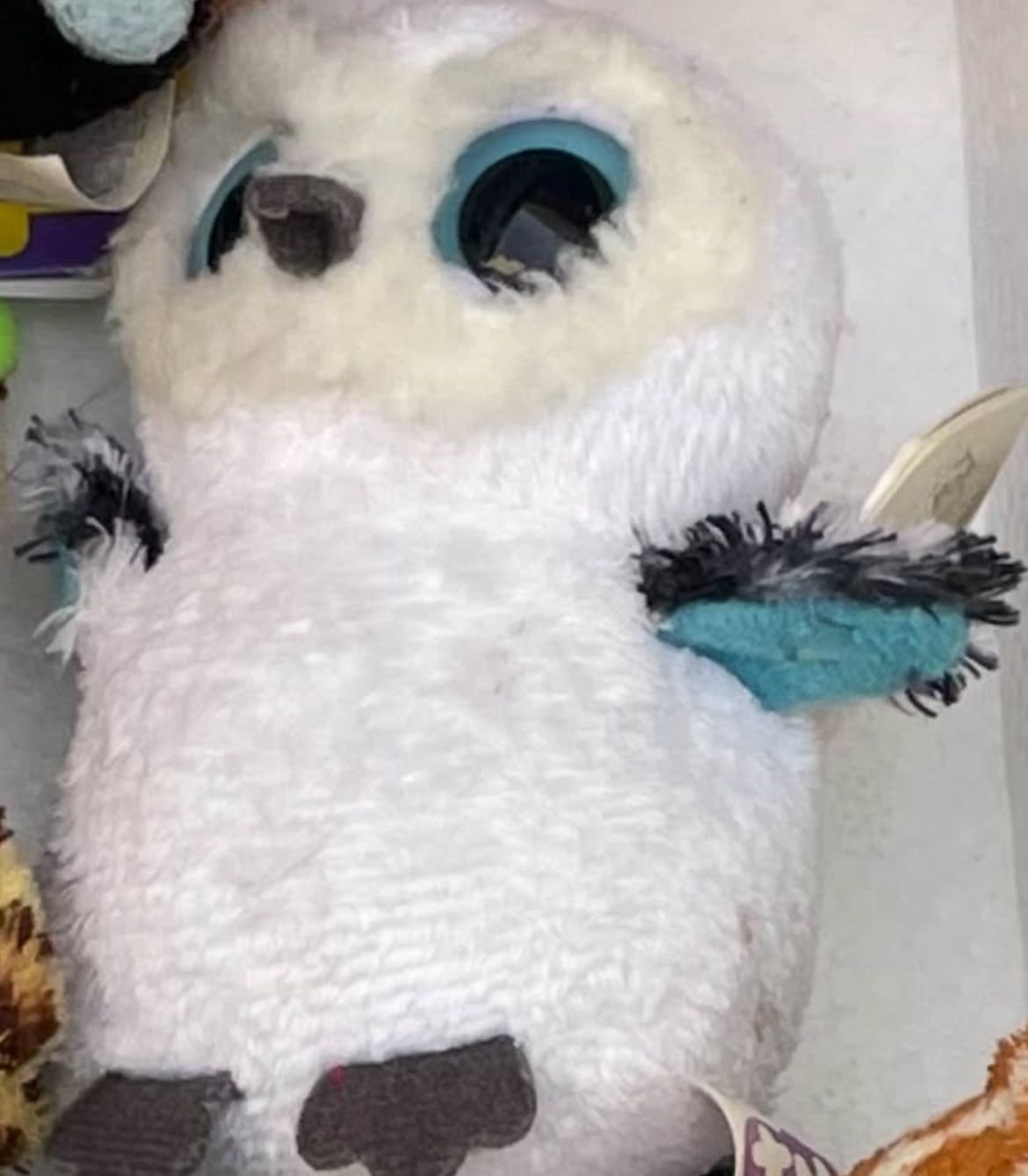 Spells The Owl Beanie Boo