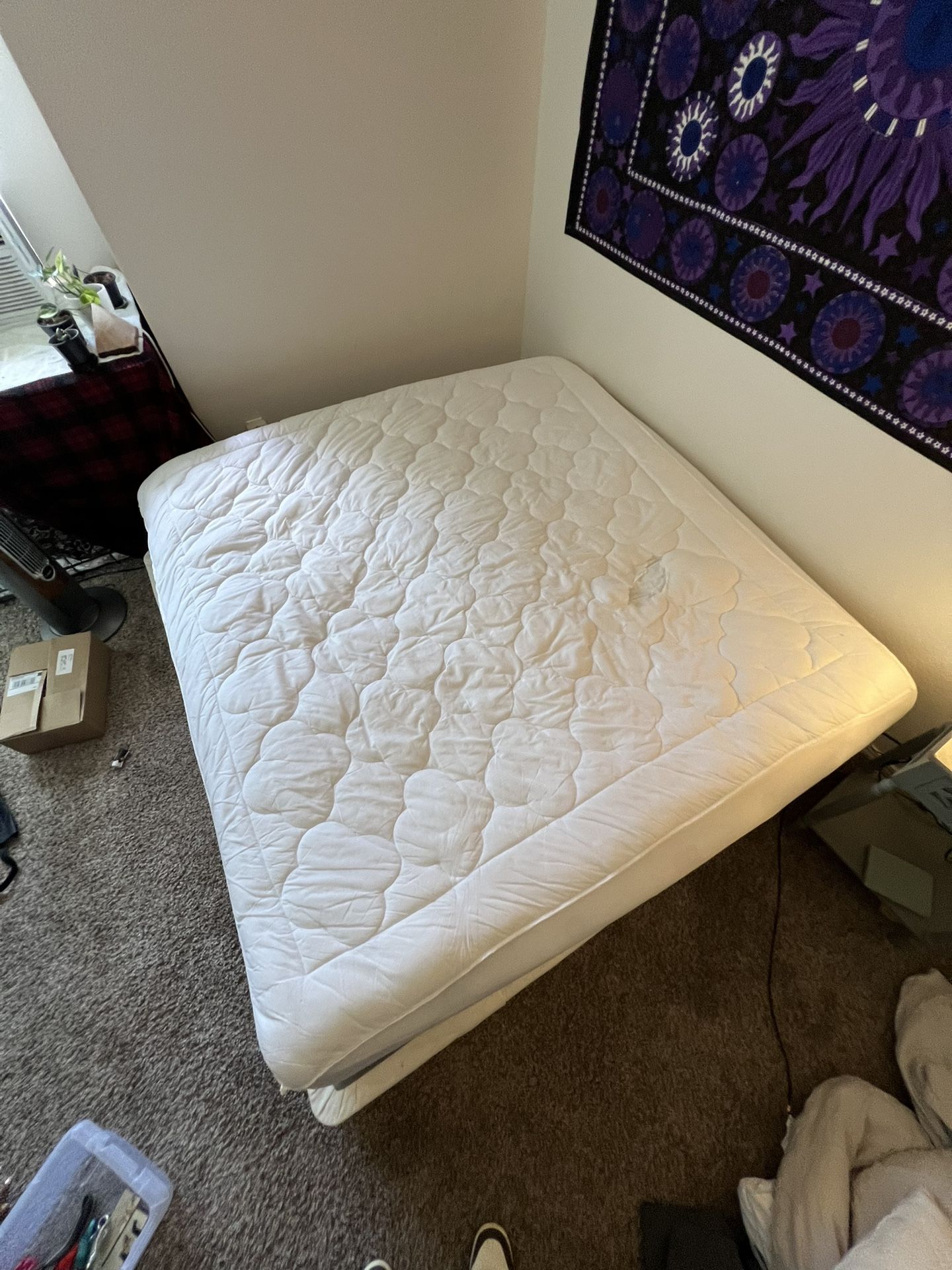 King Sized Mattress And Box Springs