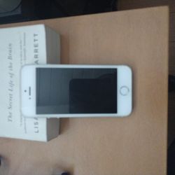 iPhone 5s A1453