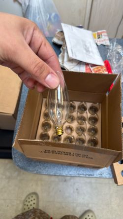 Clear Decorative Light Bulbs – 25 Pack (Candelabra Base)
