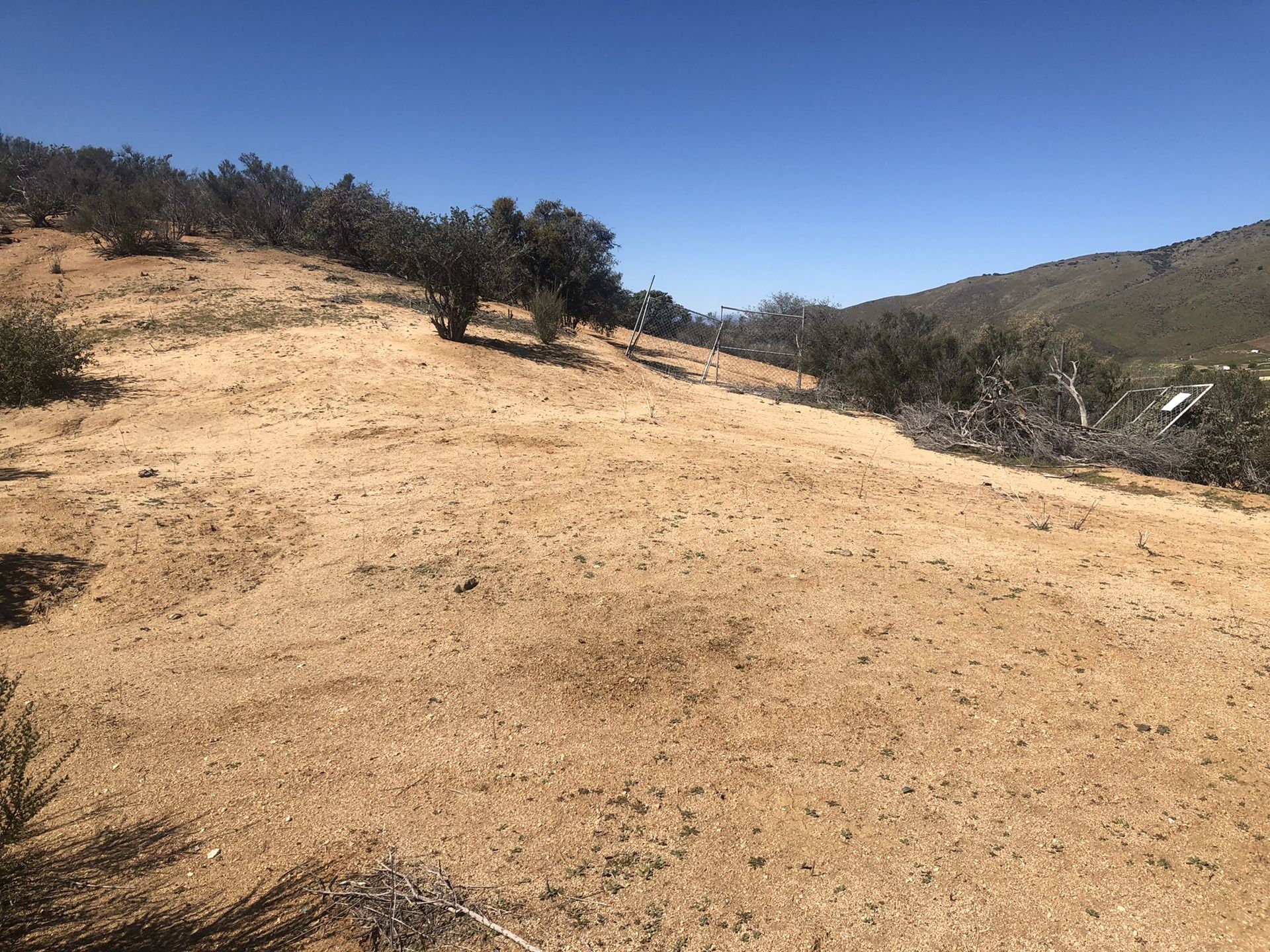 Acton ,ca horse land for sale !!!!
