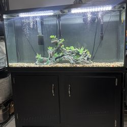 55 Gal Tank 