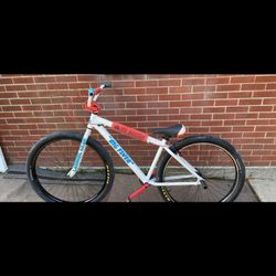 Big Flyer 29”