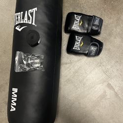 Everlast Punching Bag + Gooves + Hanging Accessories 