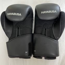 Hayabusa Kick Boxing Gloves