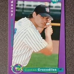 1997 Danny Fernandez Canton Ohio Crocodiles #8 Premier Edition Frontier League Baseball Card Vintage Collectible Sports