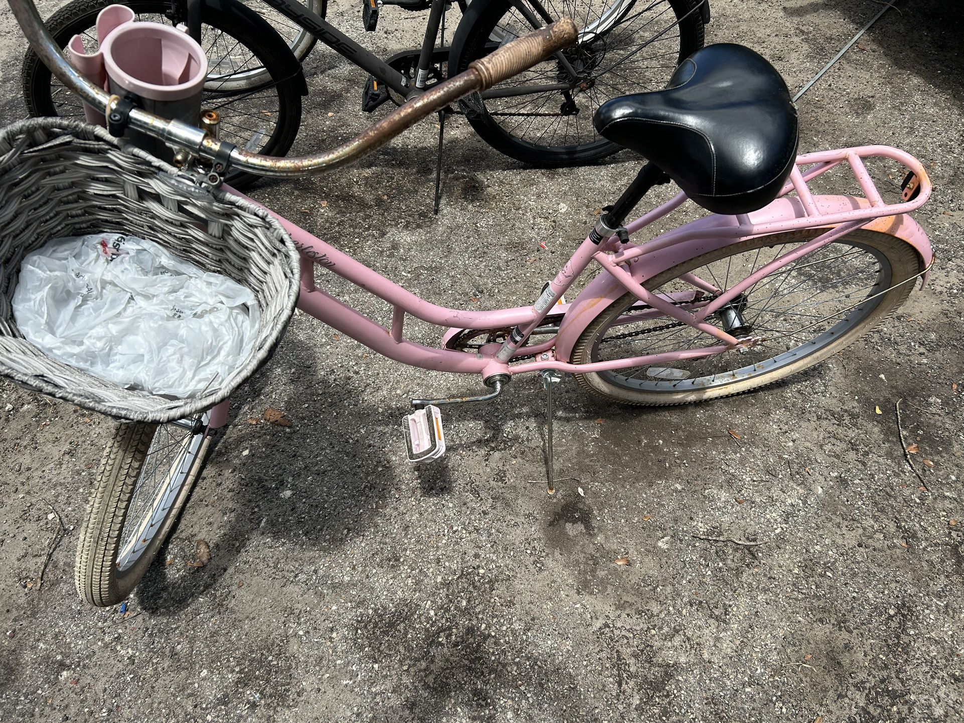 Bca charleston cruiser new arrivals