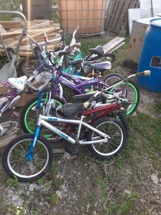 13 Bikes Must Take All For One Money