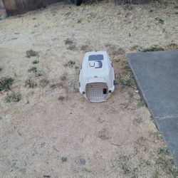small travel kennel