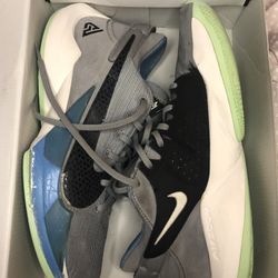 Nike Zoom Freak 2 Particle Grey – Size 11