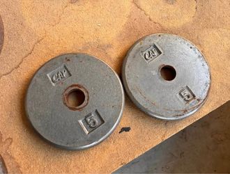 CAP 5 lb Cast Iron Weight Plates Pair