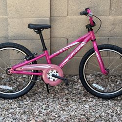 20 Inch Specialized Hotrock Bike