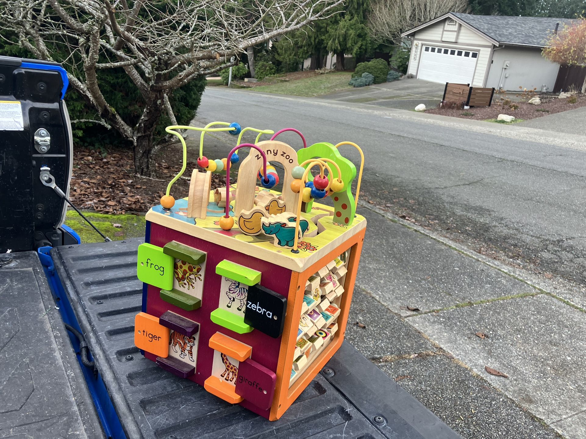 Child Kid Child Zany Zoo Wooden Educational Activity Cube Center