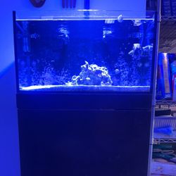 IM Nuvo Fusion 20 Gallon Reef Tank