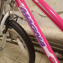  Pink Bike New