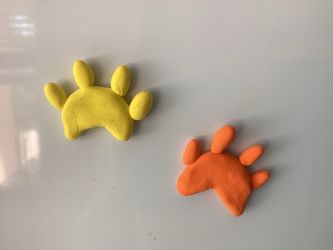 Dog paw magnet