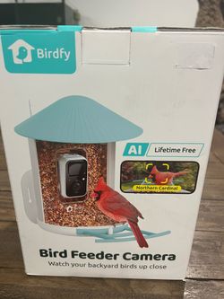 Birdfy Smart Bird Feeder with AI Camera