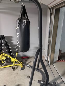 punching bag
