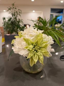 Moving sale: fake plants (small), all $5 each