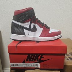 Jordan's 1s