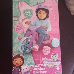 Tricycle Big Wheel 