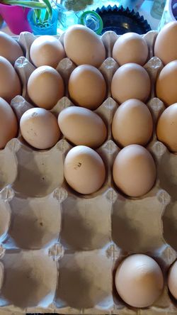 Farm fresh eggs lg