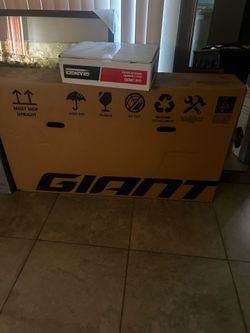 Giant bicycle