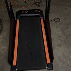 Pet Treadmill 