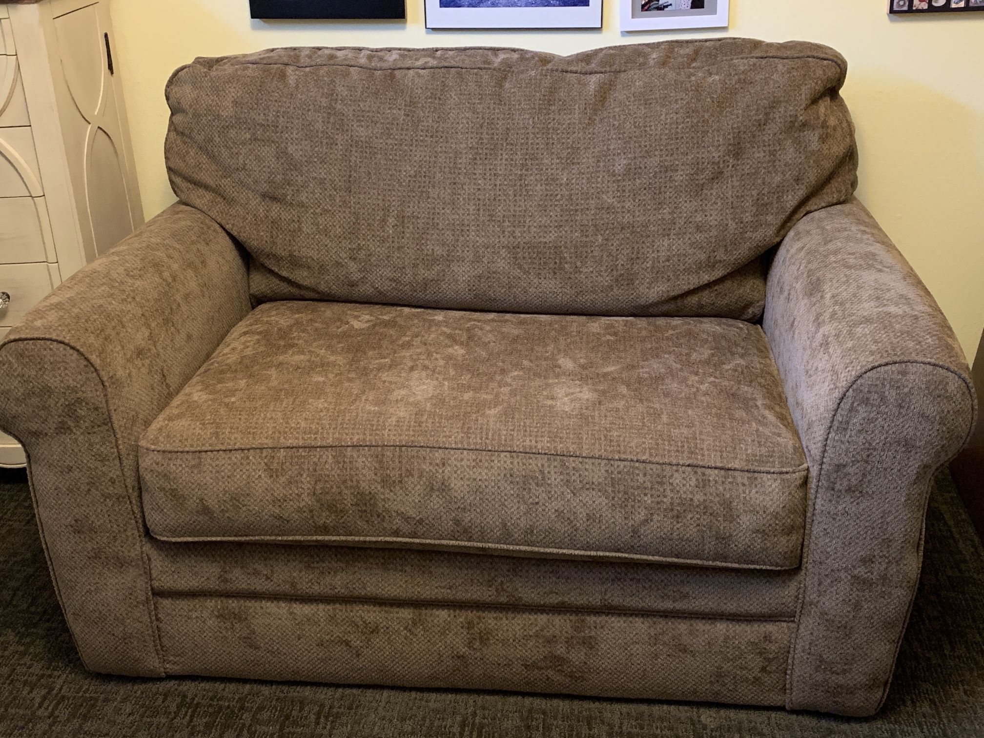 Love Seat Twin Bed Fold Out Couch
