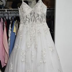 Beautiful Bridal Gown and Veil