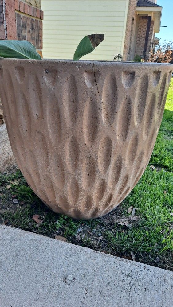 Large Ceramic Pot