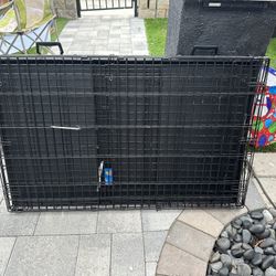 Dog Crate - BASICALLY BEW