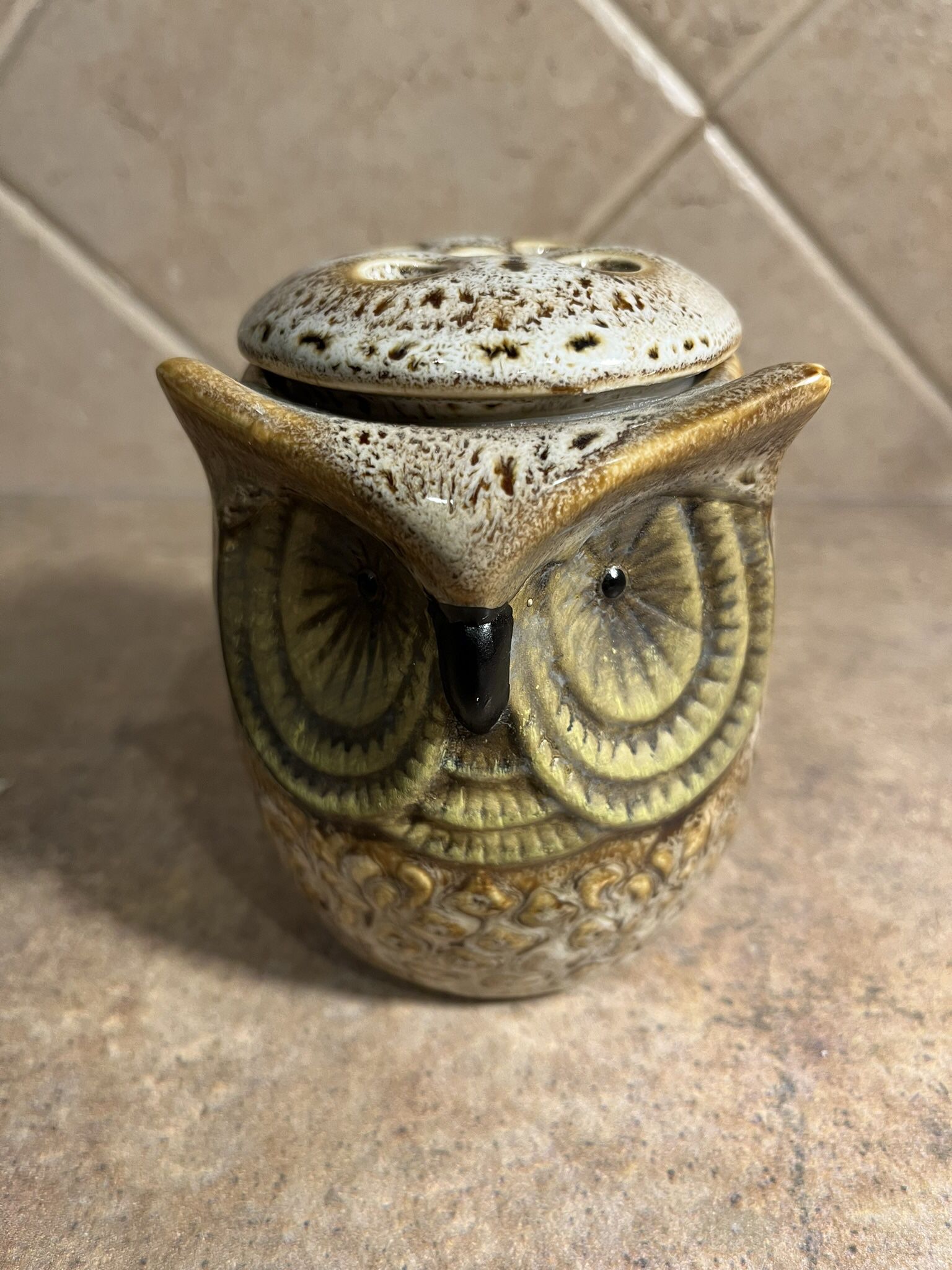 Ceramic Electric Wax Burning Owl with Lid 