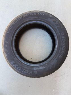 Evoluxx Capricorn 4x4 HP 255/60R18 Tire