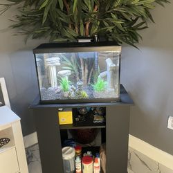 20 Gallon Fish Tank With Pump And Supplies