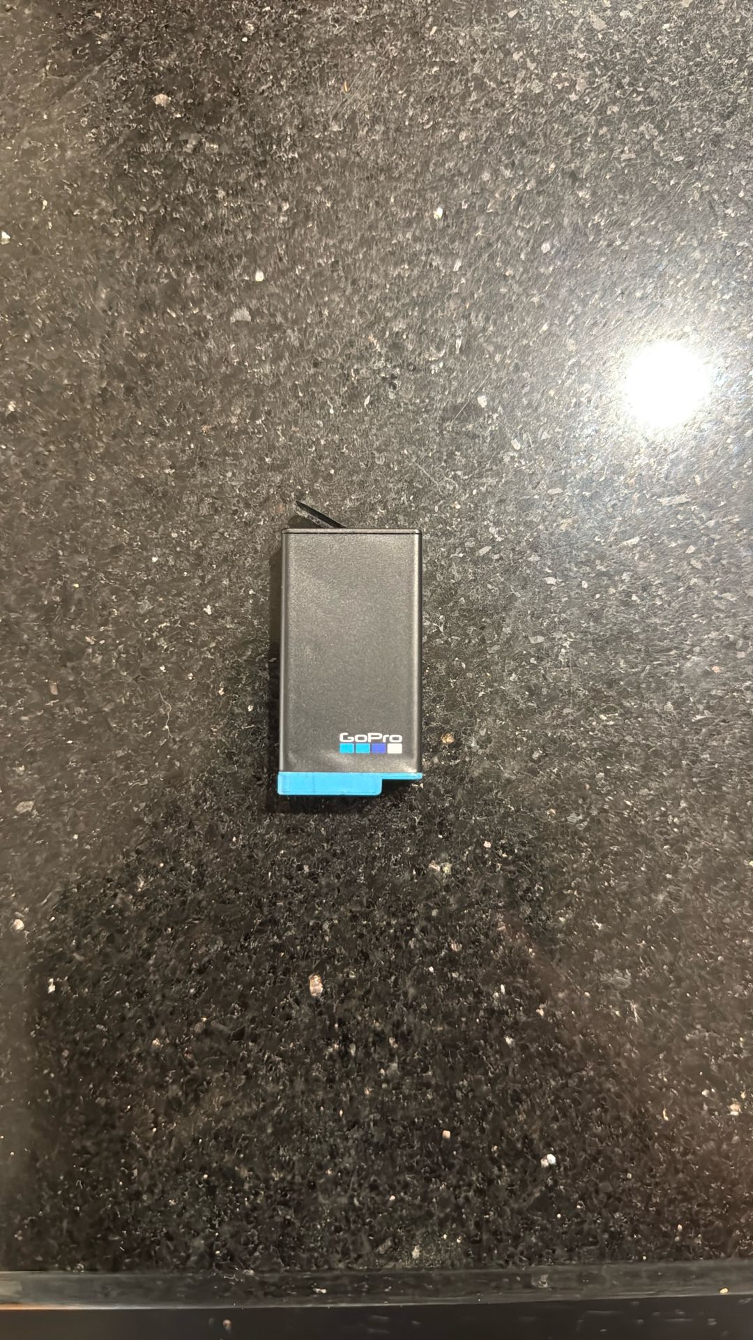 GoPro MAX Battery