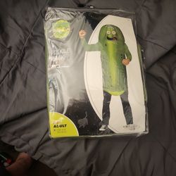Pickle Rick Costume 