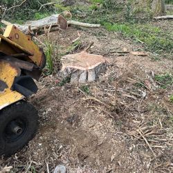 Stump Grind 