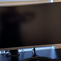 34 Inch Ultra WQHD 75Hz AMD FreeSync Monitor