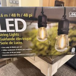 NEW Feit Electric 48ft LED Outdoor String Lights (Costco)