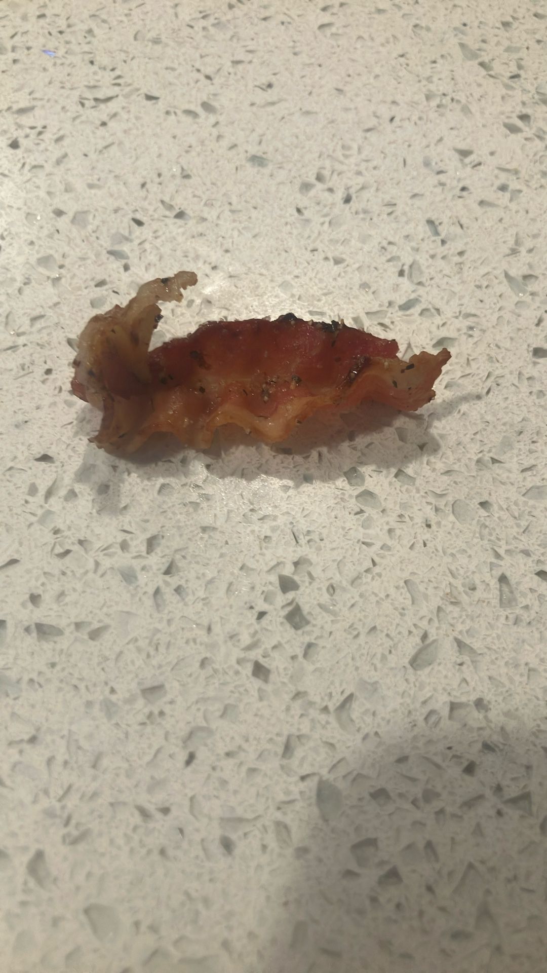 Slightly Eating bacon