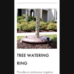 Tree Water