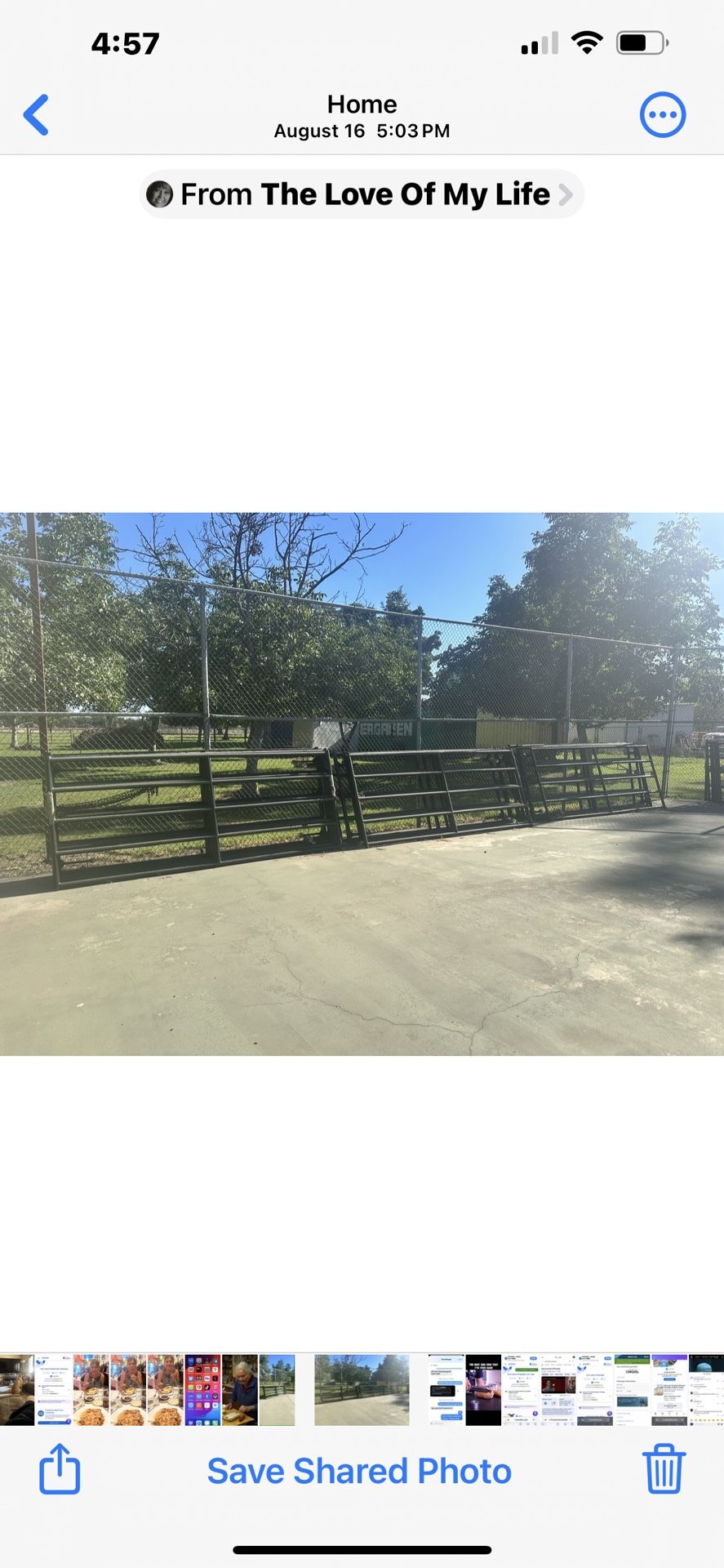 10 X 4 Feet Cattle Gates