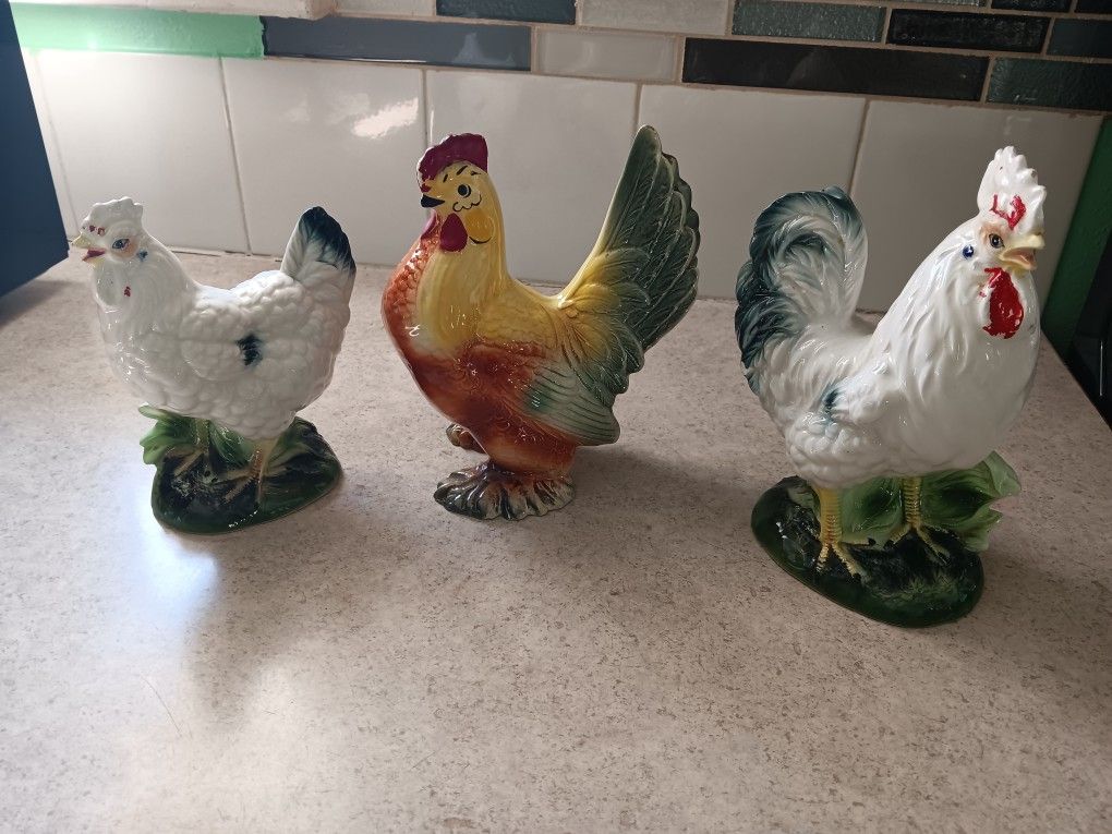 Chicken Rooster