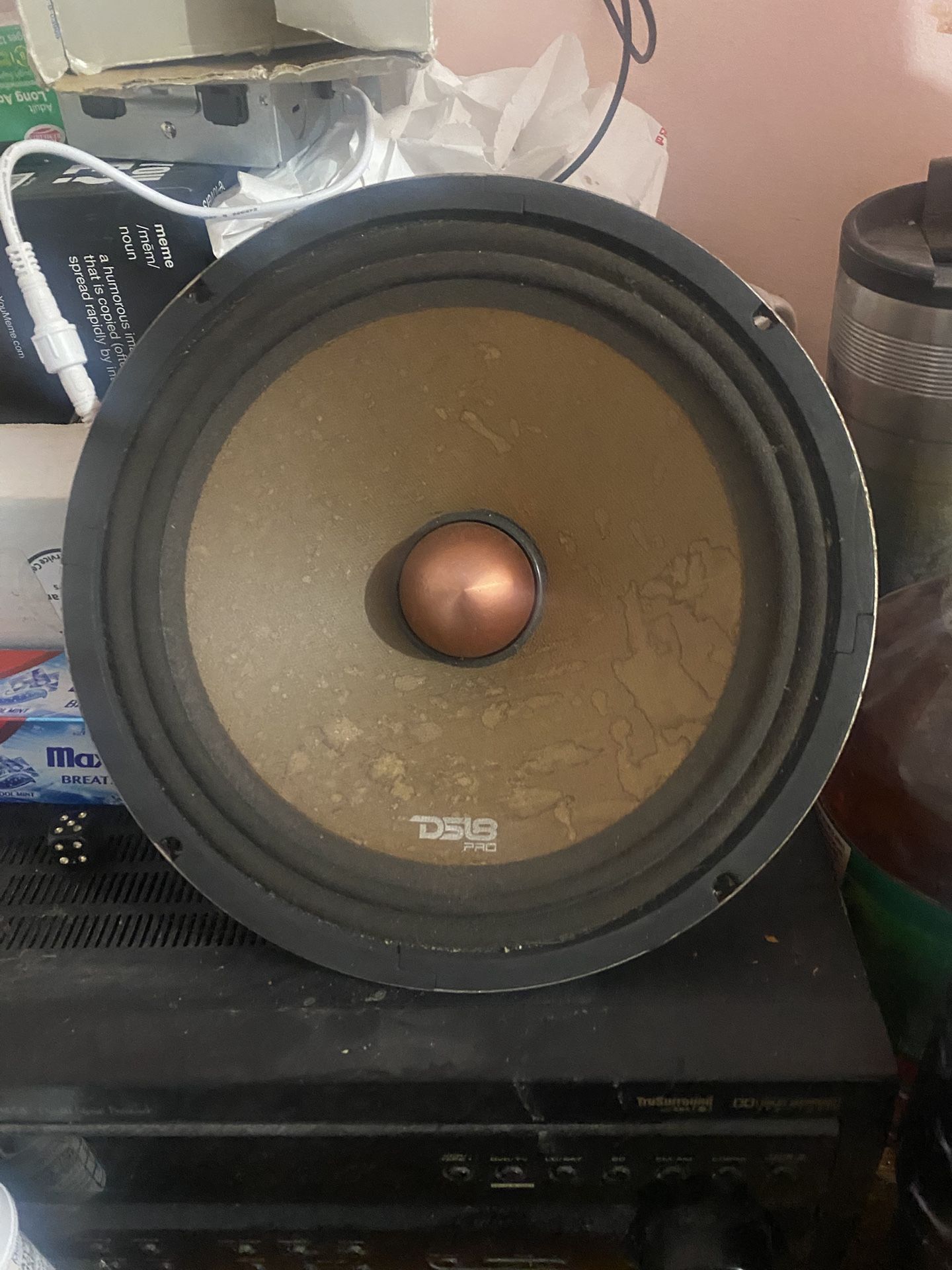 2x Ds18 10” Loud Speakers
