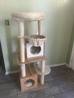 Cat playground