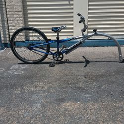 Trek Kids Bike Trailer