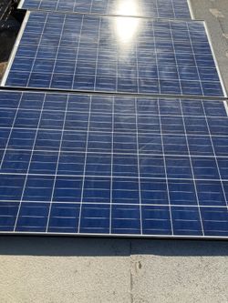250 Watt Solar Panels  $125 Each Delivery Available 