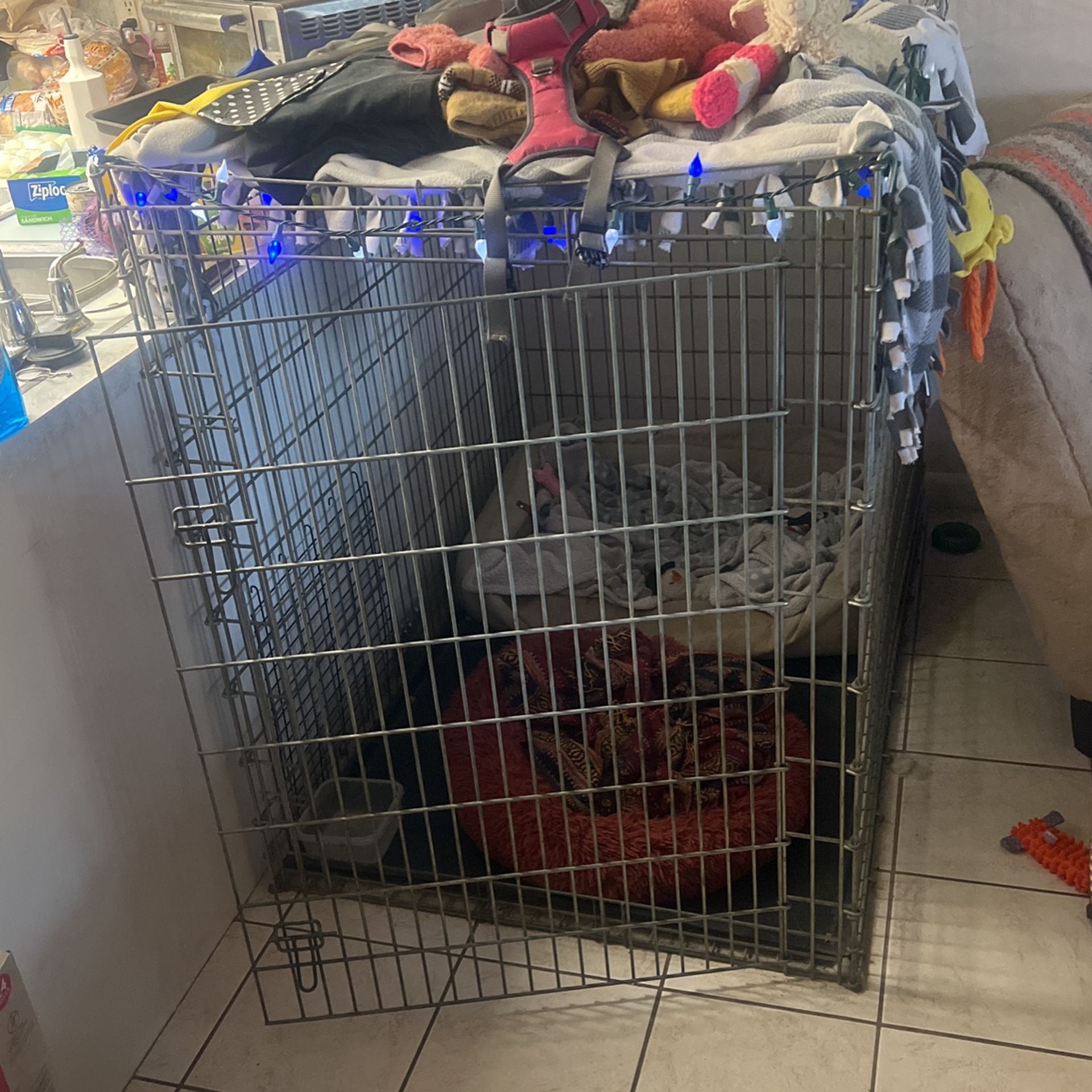 XX Large Dog Kennel