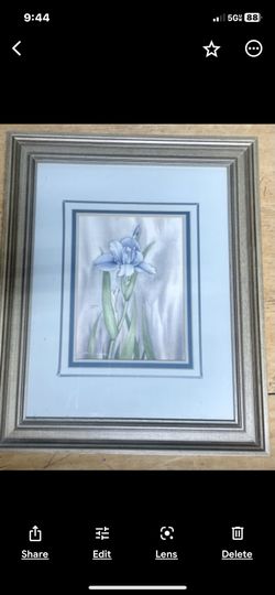 Framed Iris Picture